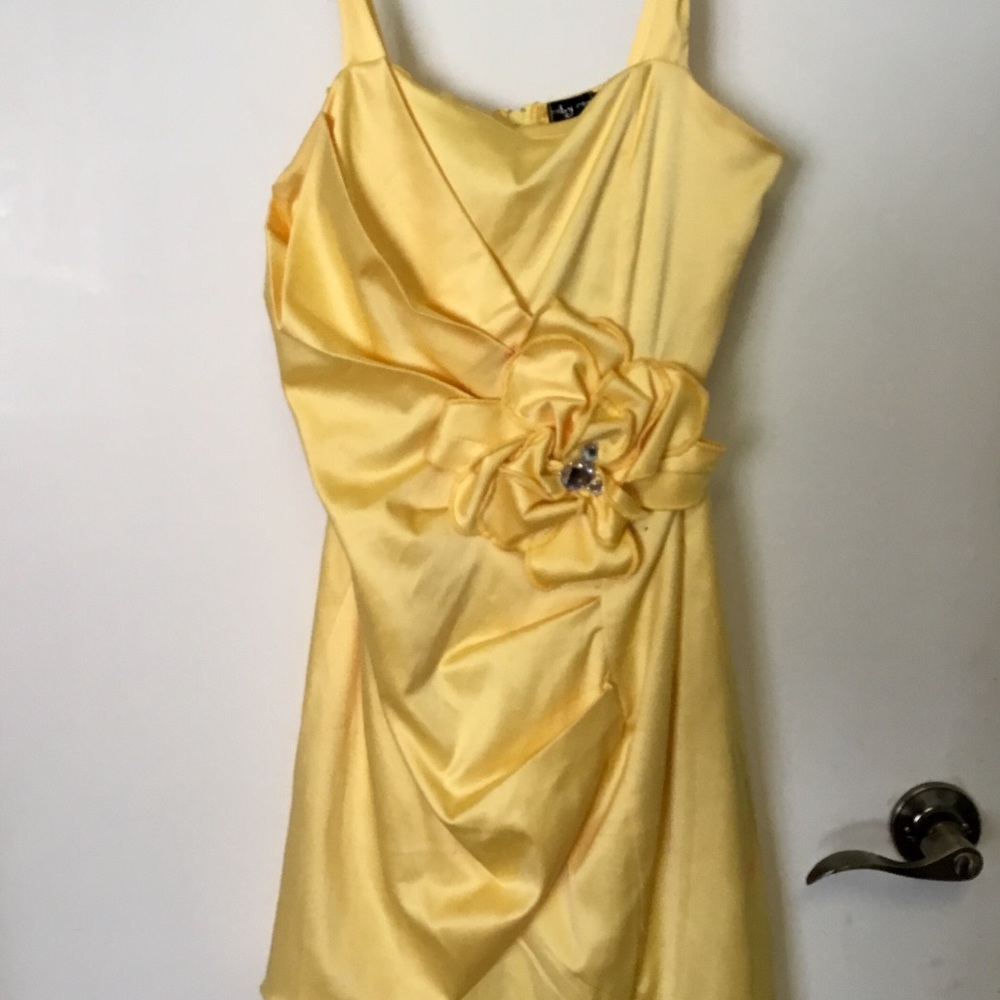 Beautiful Flower Silky Dress